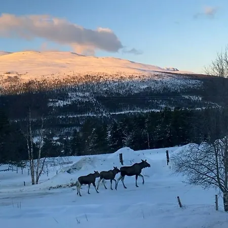別荘 Hus Med Masse Overnattingsplasser Pa Muruvang Gard *