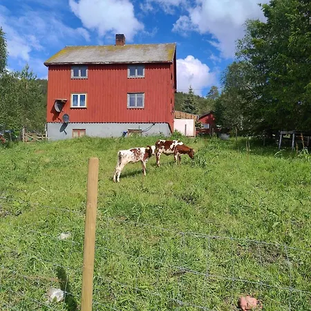 Hus Med Masse Overnattingsplasser Pa Muruvang Gard 別荘